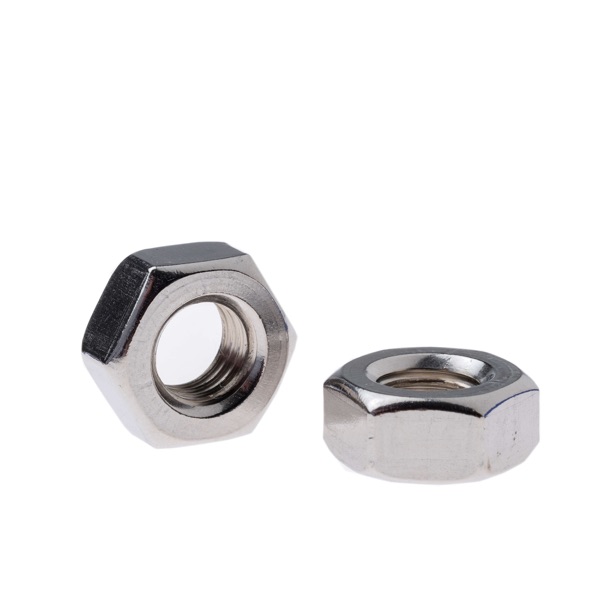 Hex Nut SS316 M10 10PK