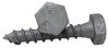 Hex Coach Screw HDG M10 50mm 10PK