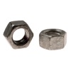 Hex Nut HDG M12 10PK