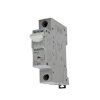 Eaton Circuit Breaker PLS6 1 Pole 50A