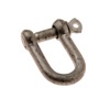 D Shackle HDG M8