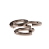 Spring Washer SS316 M10 10PK
