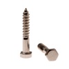 Hex Coach Screw SS316 M8 50mm 10PK